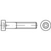 DIN 6912 Hexagon Socket Head Cap Screw With Low Head And Pilot A2 Stainless Steel 